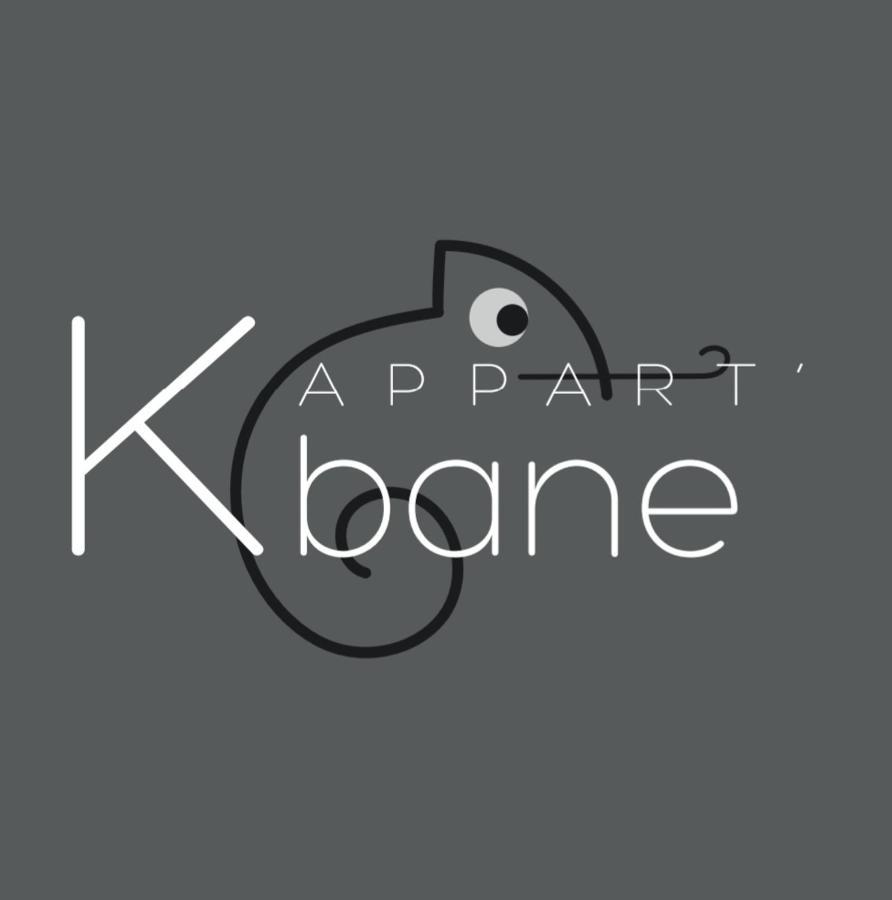 L'Appart K-Bane- Wifi Fibre- Checkin Auto- 2 Pers Le Mans Eksteriør bilde